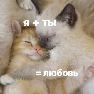 😚
