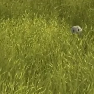 🫧