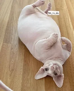 😌