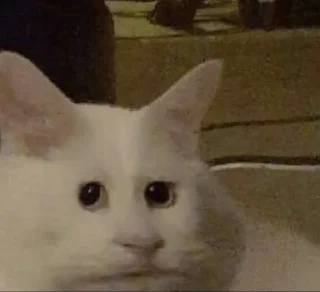 😳