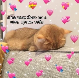 💖