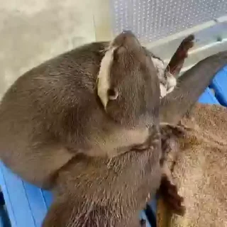 🤗