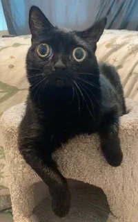 😐