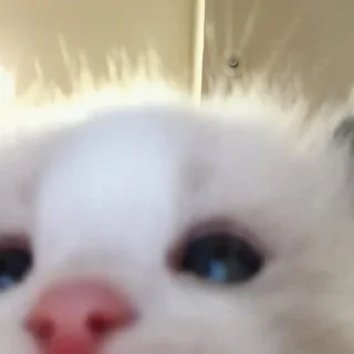 😳