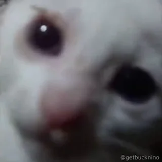 🫨