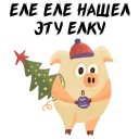 🐗