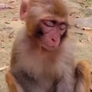 😅