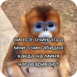 🌟