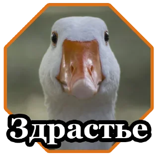 👋