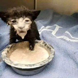 😩