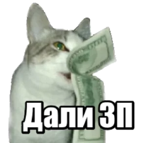 💸