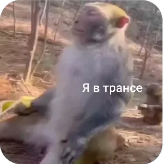😌