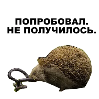 😣