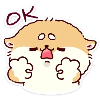 🌟