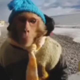 🤨