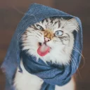 🤪
