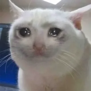 😥