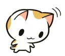 🐱