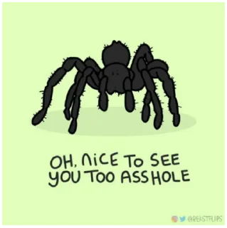 🕷