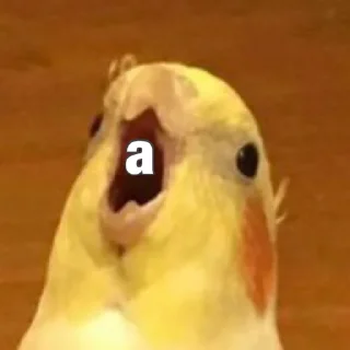 😅