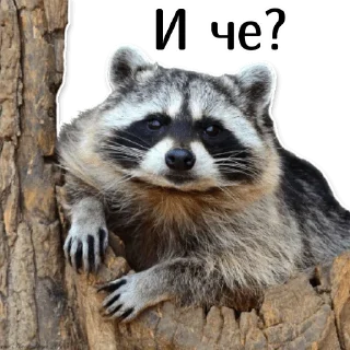 🤨