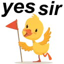 🐥