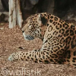 😔