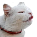 😝