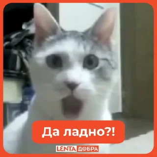 🤯