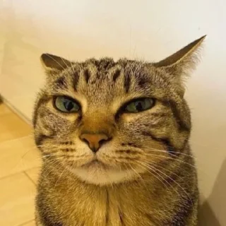 🤨