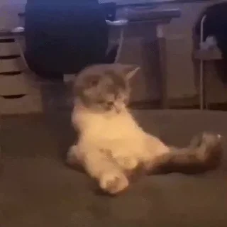 ⤴️