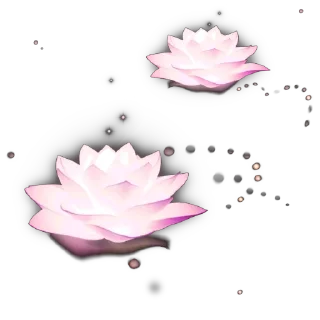 🪷