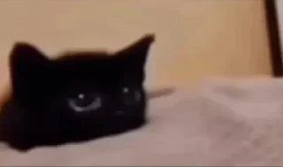 🥺