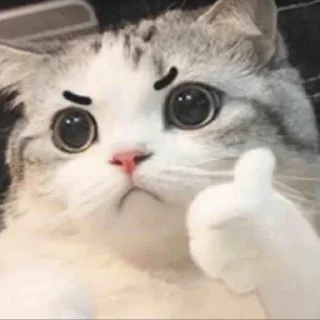 😡