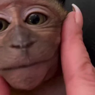 😊
