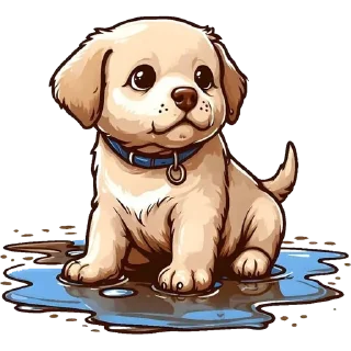 🐶