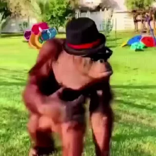 👍
