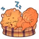 😴