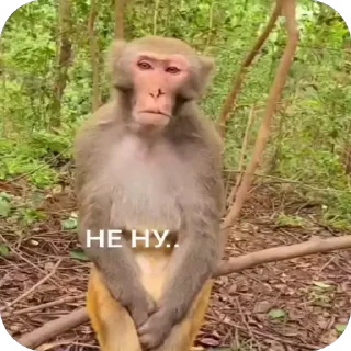 😏