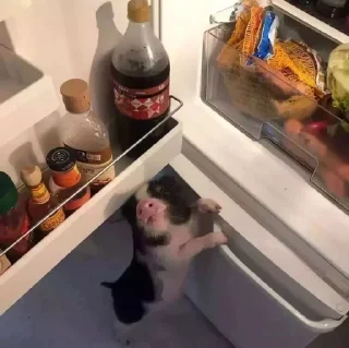 🥺
