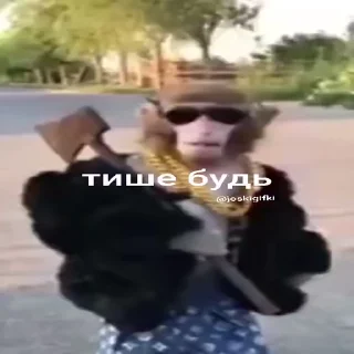 🐵
