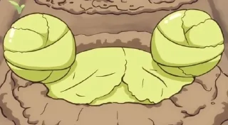 🥬