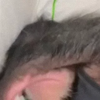 🥱