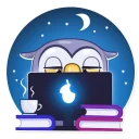 🌙