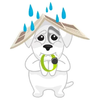 Rascal @stickersb2b