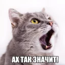 😨