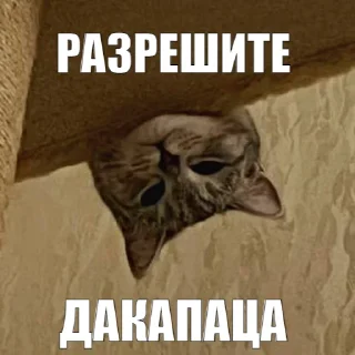 🤓