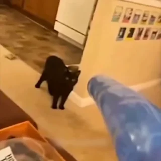 🤩