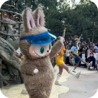 🧦