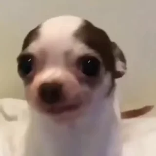 🫠